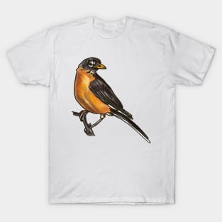 American Robin T-Shirt